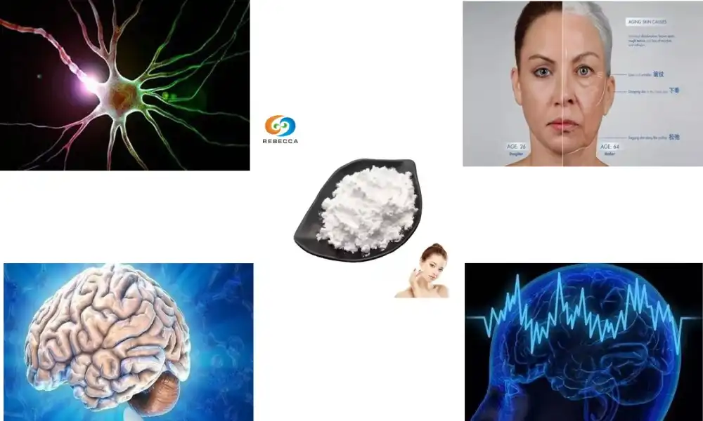 Can L ergothioneine help with brain aging?